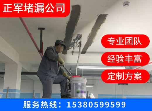 正军堵漏工程镇江线上分站